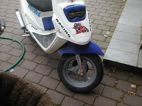 PGO hot 50  solgt billede 6