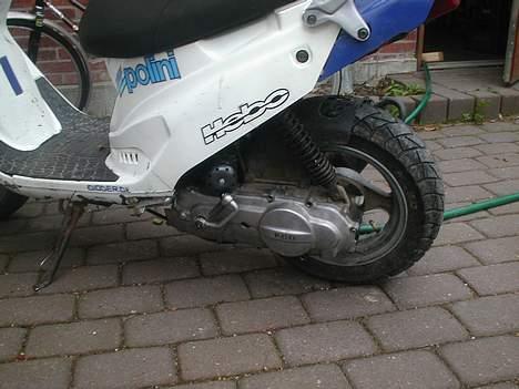 PGO hot 50  solgt billede 9