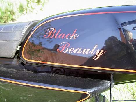 Yamaha Fs-1 4 gear SOLGT! billede 6