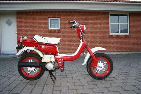 Suzuki Fz-50  billede 2