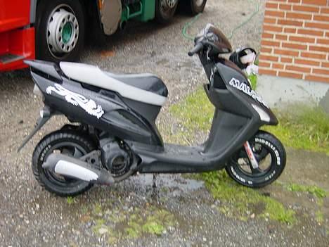 Honda sfx... total skadet.... billede 3