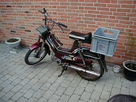 Puch Maxi 2g "byttet til pmx" - Heh Der er da en kat med ;P billede 1