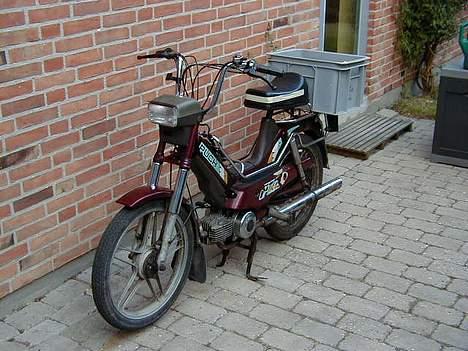 Puch Maxi 2g "byttet til pmx" billede 4