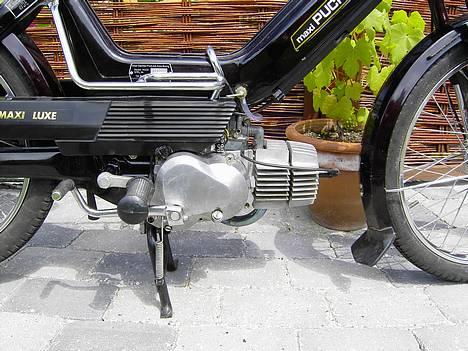 Puch Maxi K - Fra den anden side.. Pas på dine øjne.. den skinner så meget at den blænder !! haha  billede 3