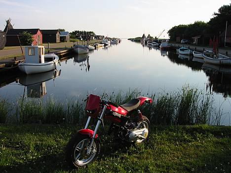 Suzuki Street Magic Ferrari Solg billede 18