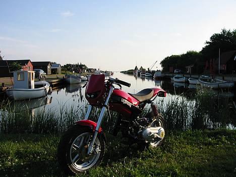 Suzuki Street Magic Ferrari Solg billede 20