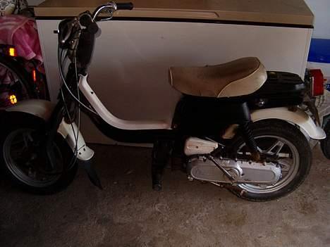 Suzuki Fz50 billede 2