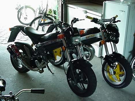 Suzuki street magic billede 8