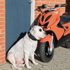 Yamaha Aerox  Team-Speed 4-SALE