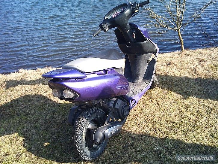 Honda SFX billede 12