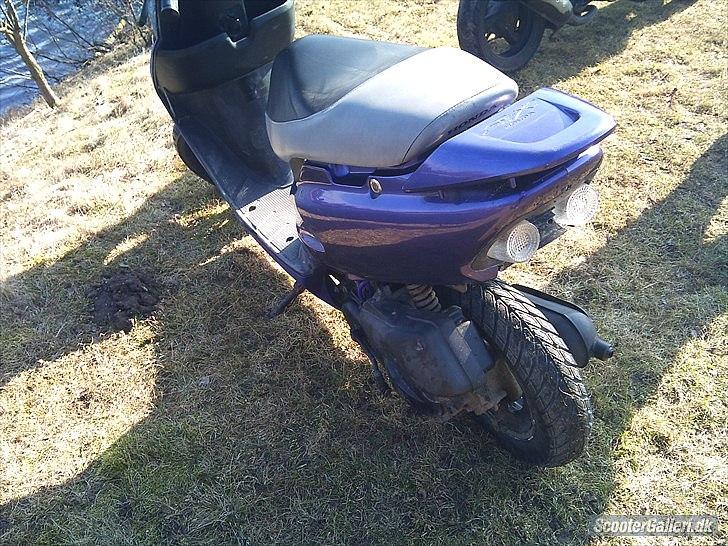 Honda SFX billede 13