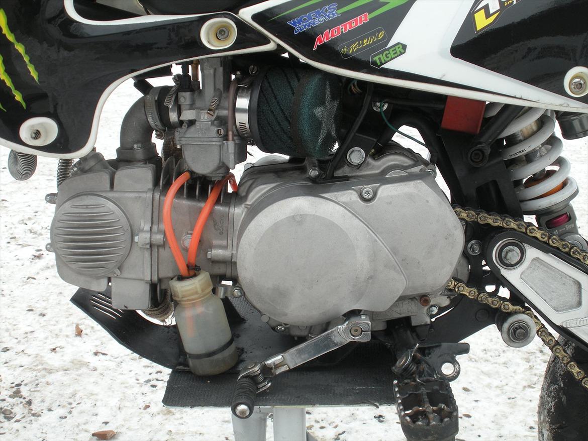 Zoot SMR-B  solgt. billede 5