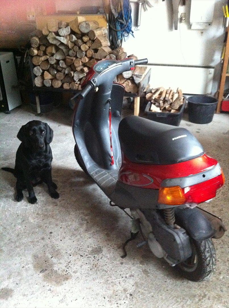 Piaggio ZIP (solgt) billede 6