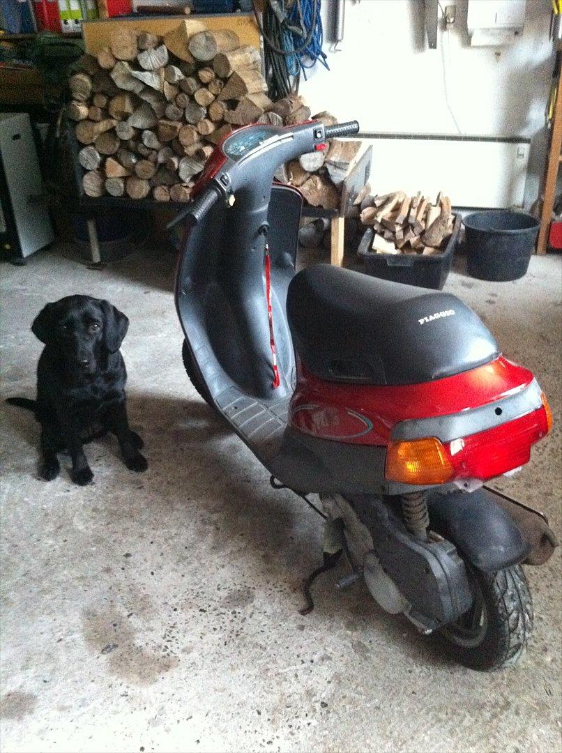 Piaggio ZIP (solgt) billede 7