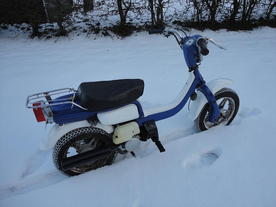 Suzuki FZ 50 billede 1