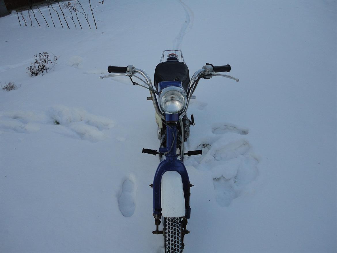 Suzuki FZ 50 billede 3