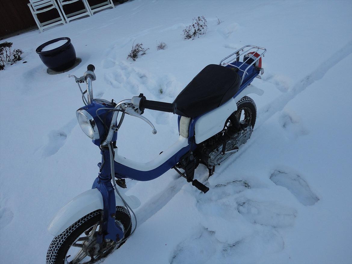 Suzuki FZ 50 billede 4