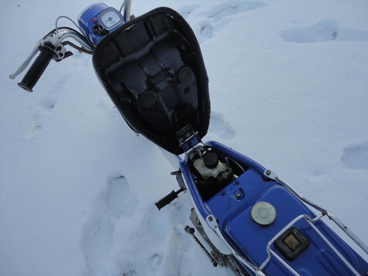 Suzuki FZ 50 billede 6