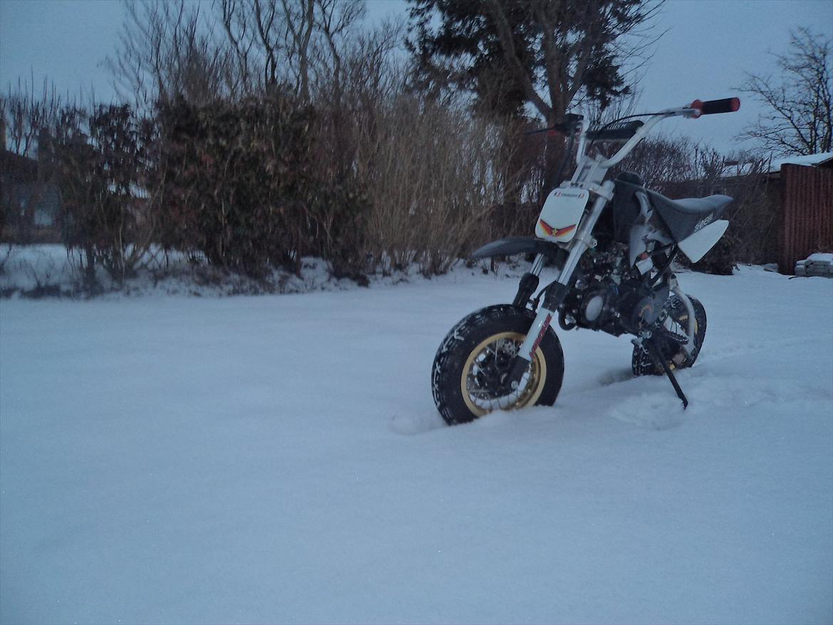 Shineray Topstar 125ccm AC ÐÐ billede 1