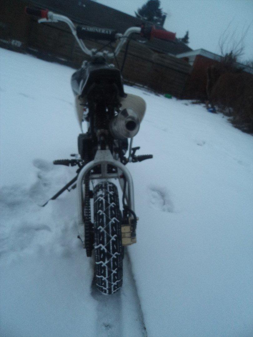 Shineray Topstar 125ccm AC ÐÐ billede 2