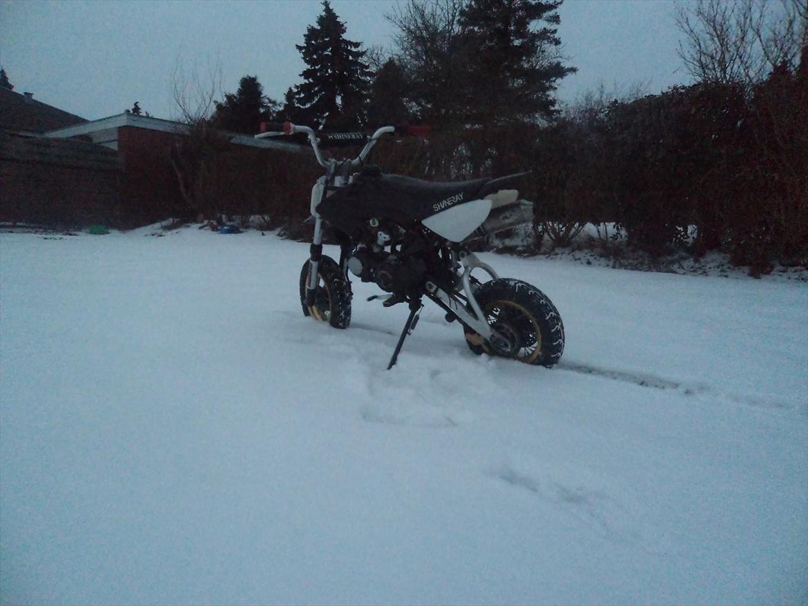 Shineray Topstar 125ccm AC ÐÐ billede 3