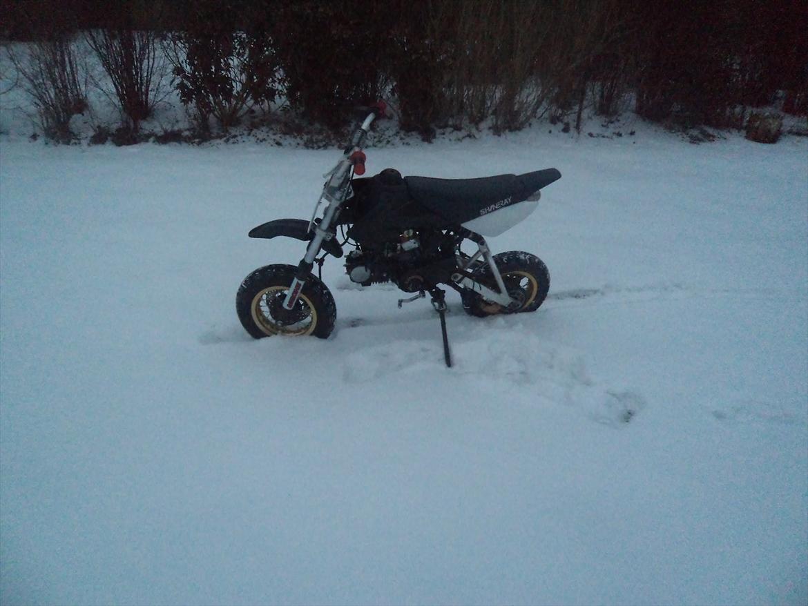 Shineray Topstar 125ccm AC ÐÐ billede 4