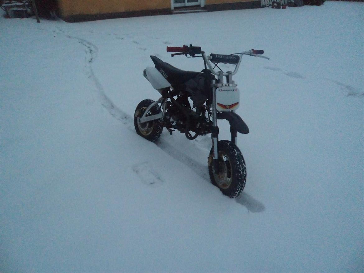 Shineray Topstar 125ccm AC ÐÐ billede 6