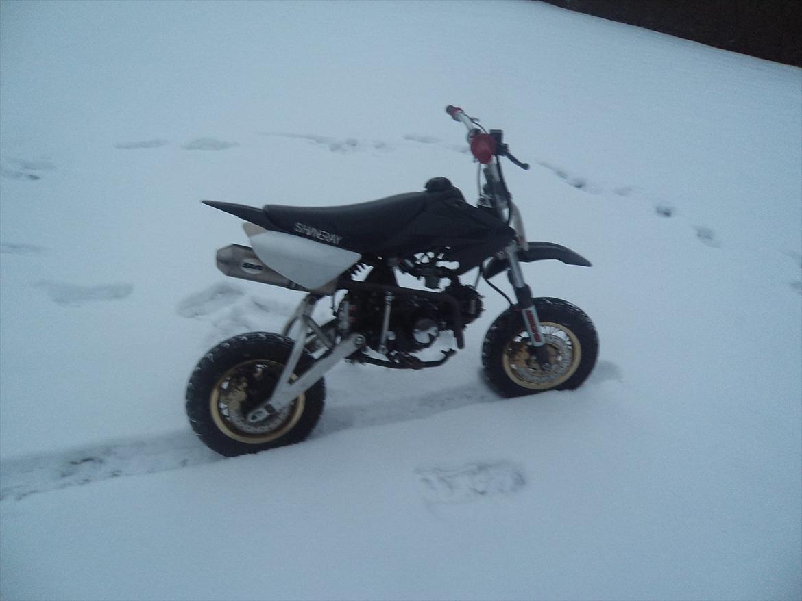 Shineray Topstar 125ccm AC ÐÐ billede 7