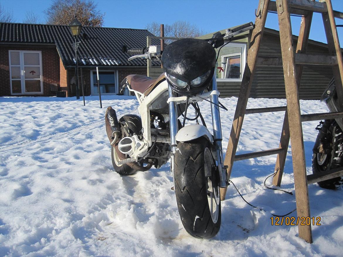 Suzuki Street magic. billede 1