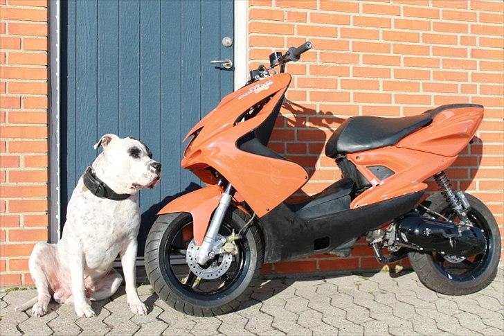 Yamaha Aerox  Team-Speed 4-SALE billede 4