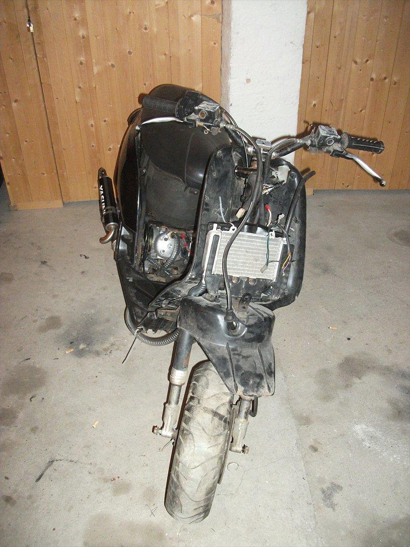 Piaggio Typhoon S6R billede 6