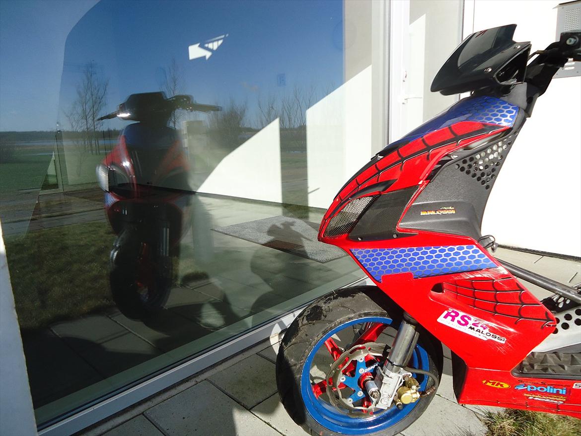 Aprilia SR50R Factory "Spiderman Edition" billede 1