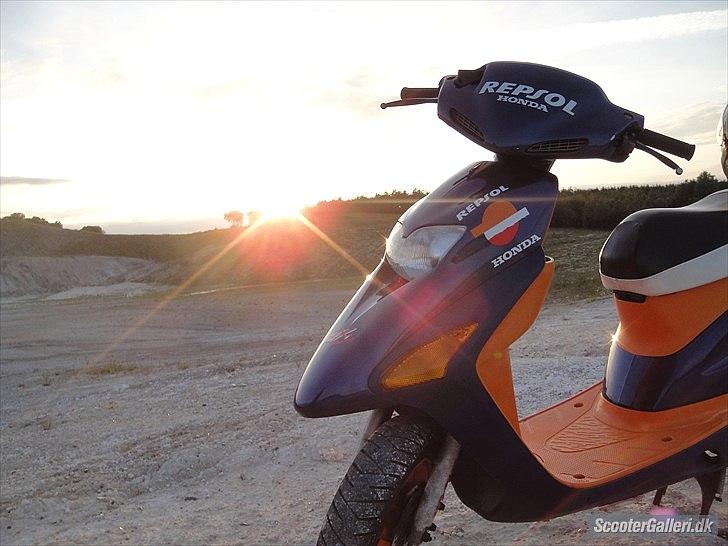 Honda SFX billede 1