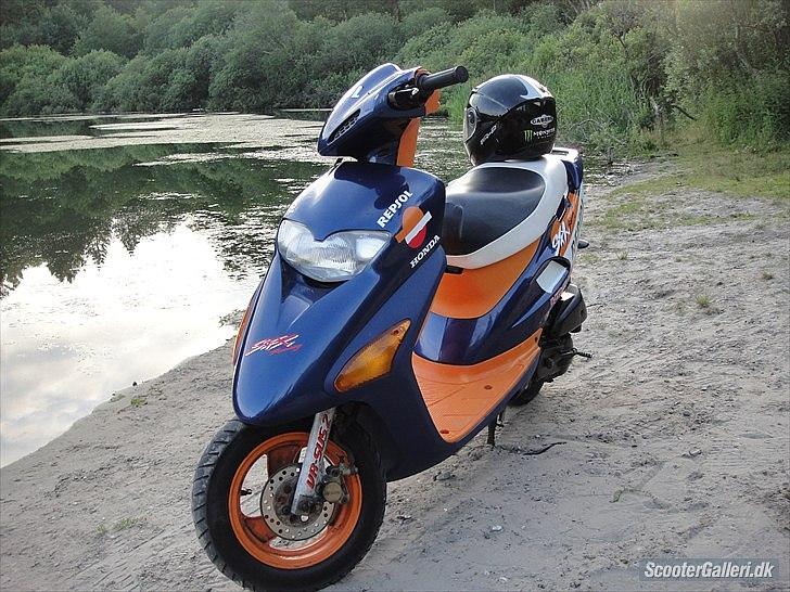 Honda SFX billede 5