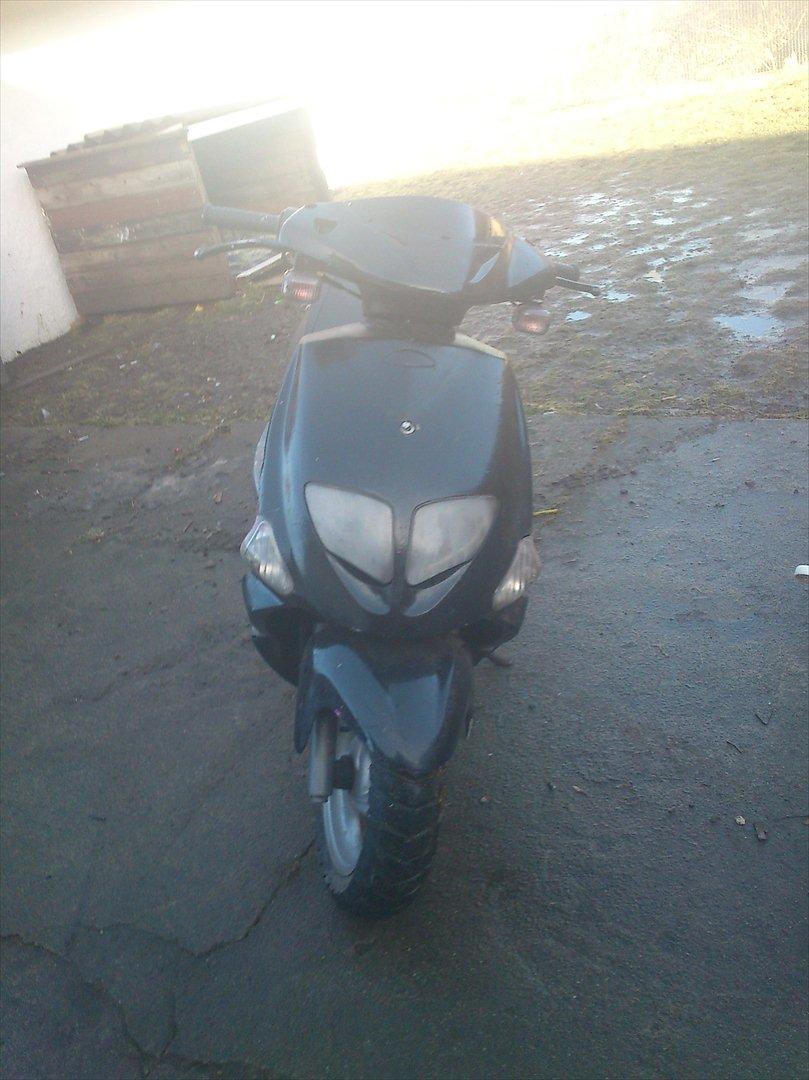 PGO Dr. Big [Tidl. scooter] billede 2
