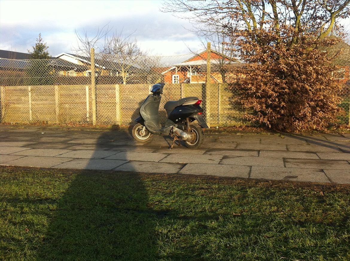 Piaggio New zip billede 8