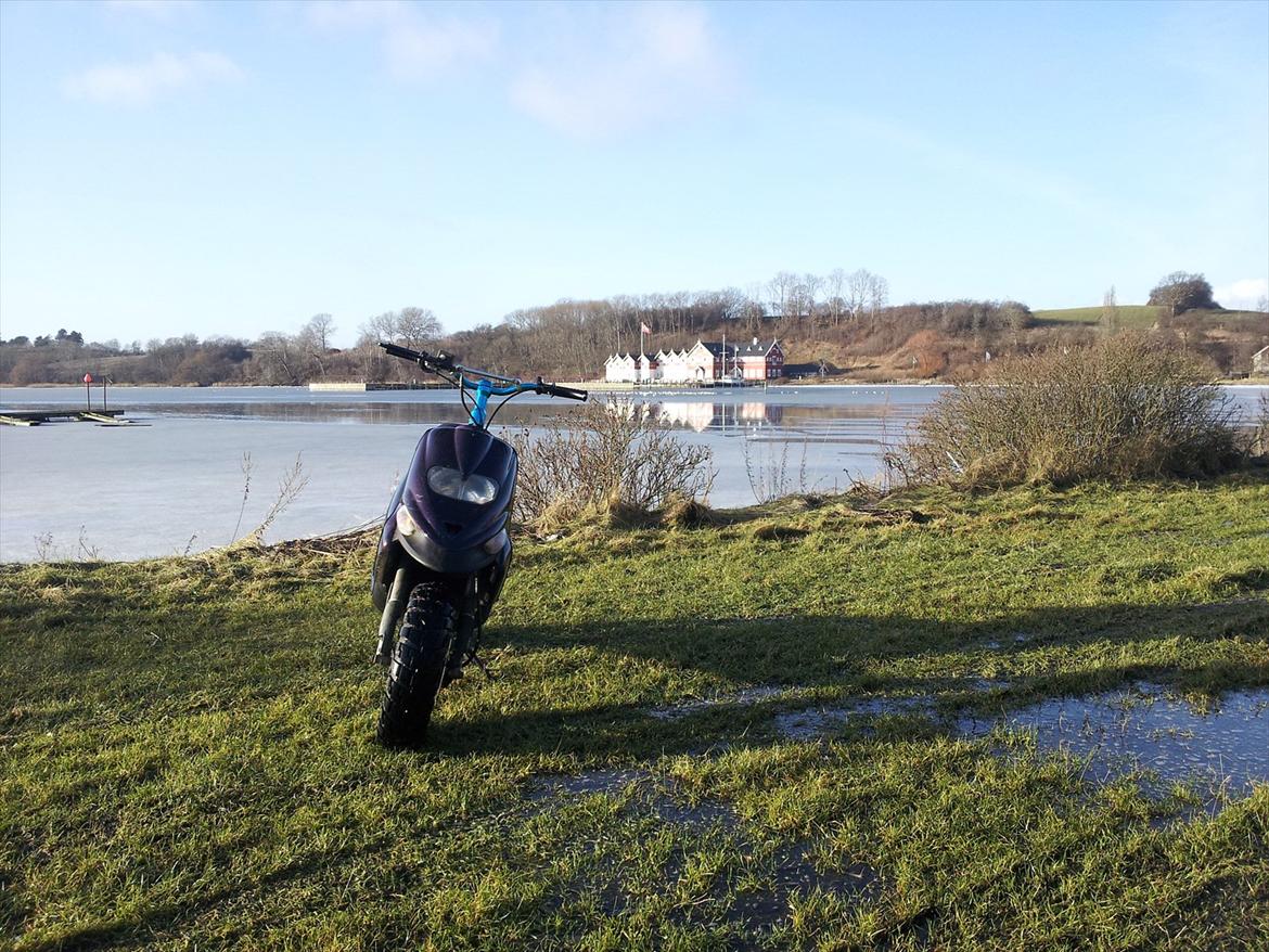Gilera Stalker  billede 4