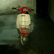 Yamaha passola