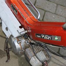 Puch Maxi P 