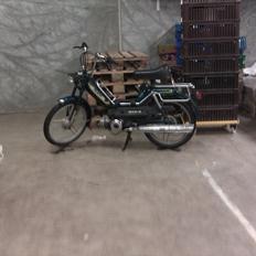 Puch maxi 2 gear