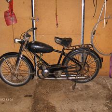 Veteraner Diesella senior