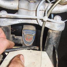 Veteraner Diesella senior