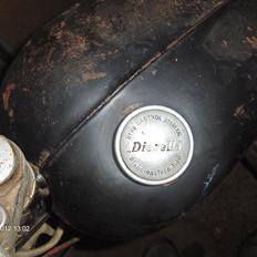 Veteraner Diesella senior