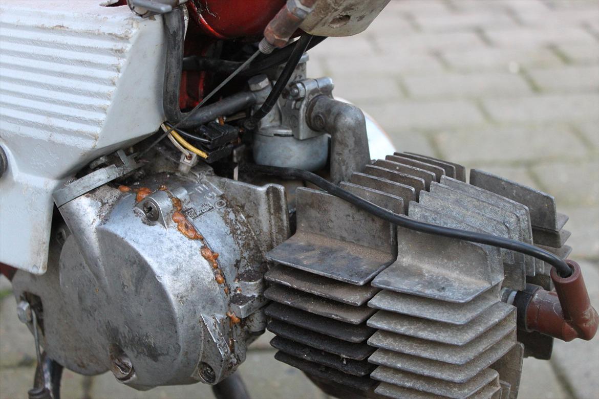 Puch Maxi P  billede 17