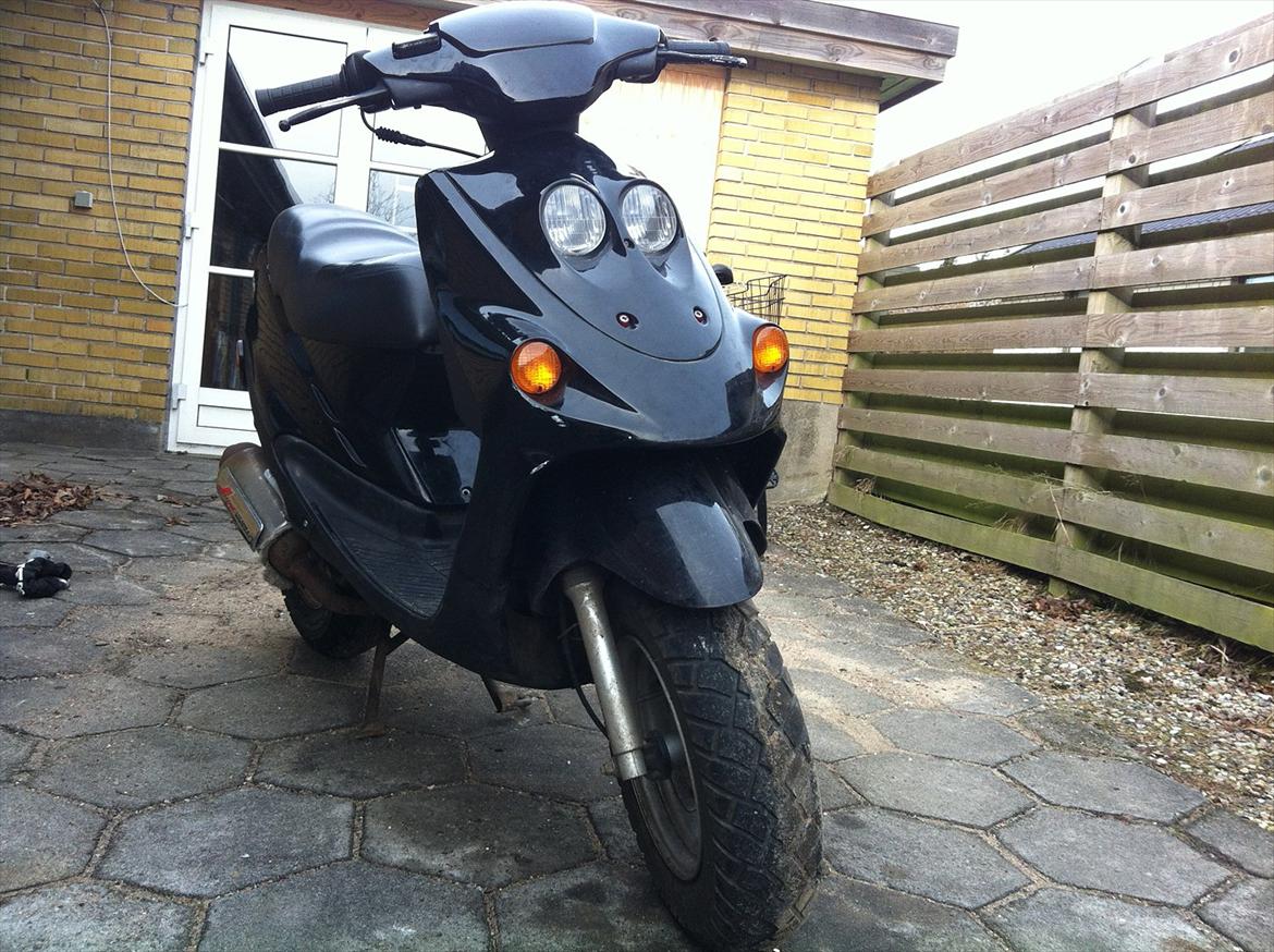 Adly falcon billede 1