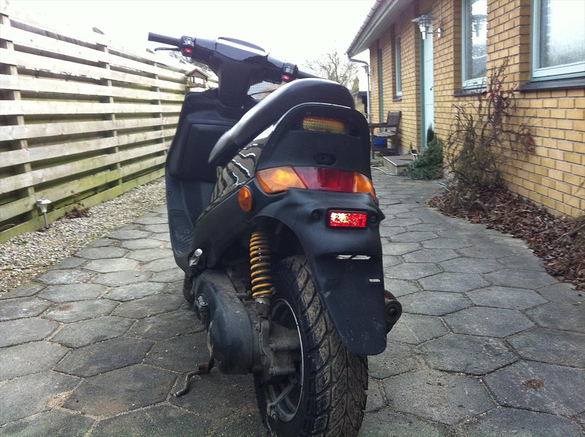 Adly falcon billede 2