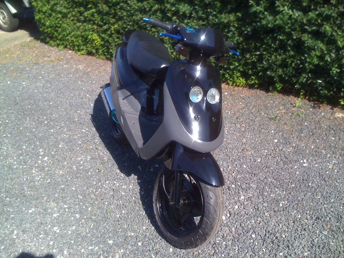 Adly Cat 50 - Lige en dejlig dag i solskin.:-) billede 12