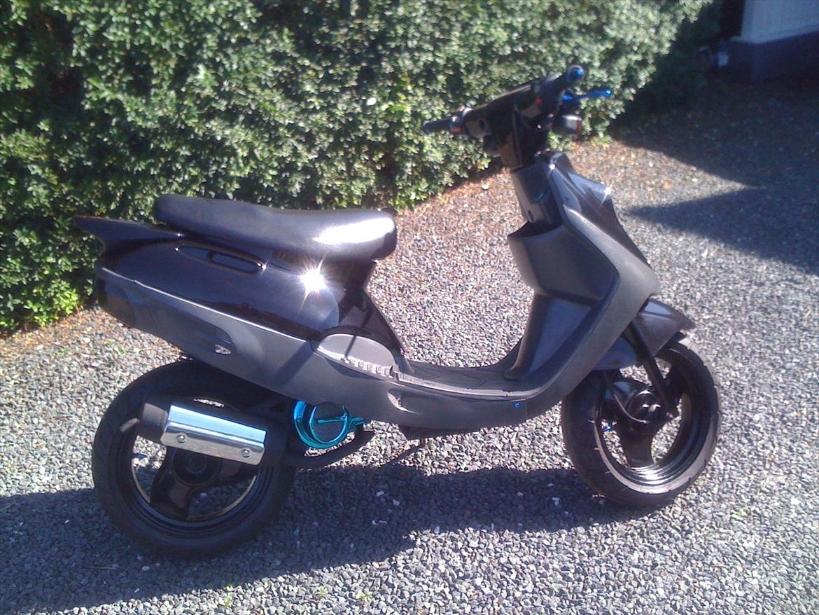 Adly Cat 50 - Lige en dejlig dag i solskin.:-) billede 13