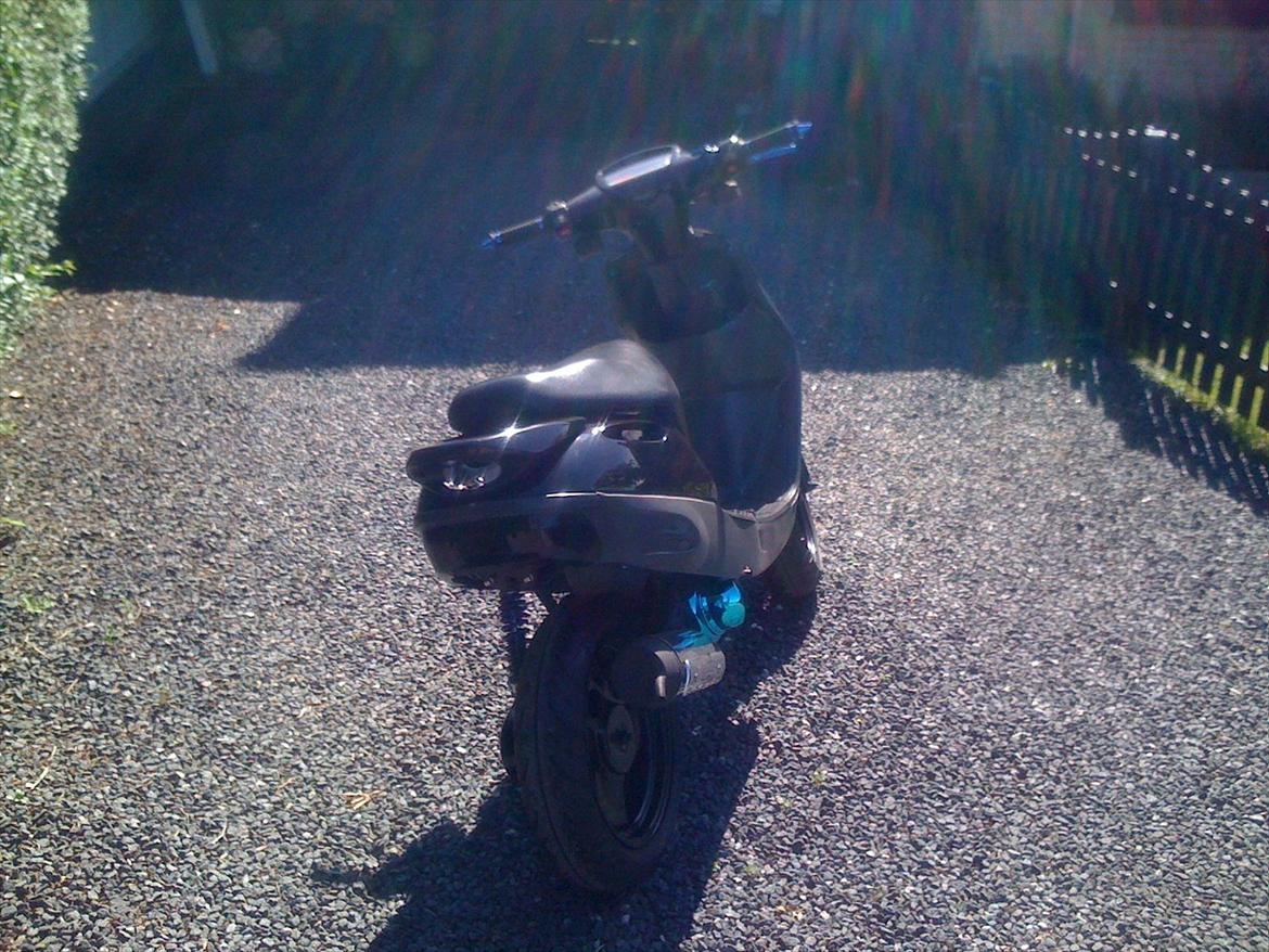 Adly Cat 50 - Lige en dejlig dag i solskin.:-) billede 14