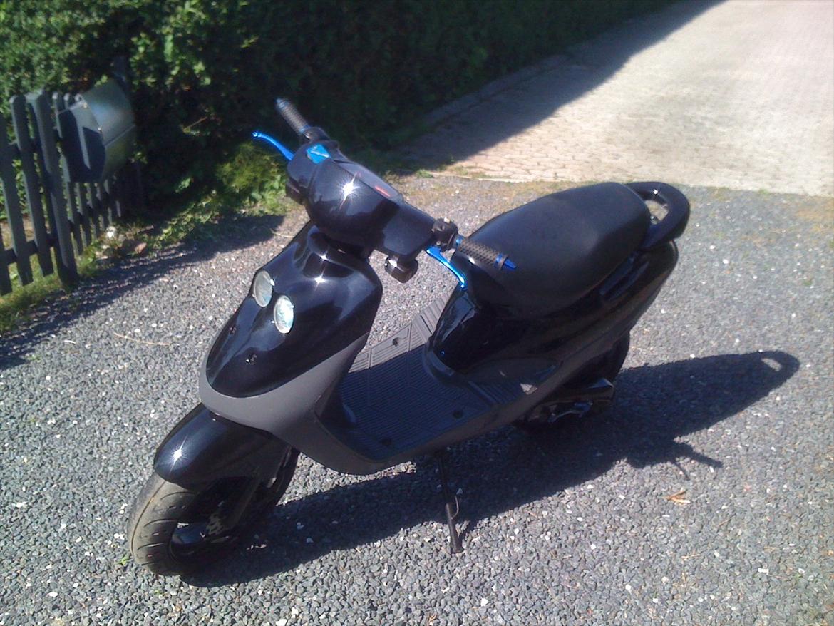 Adly Cat 50 - Lige en dejlig dag i solskin.:-) billede 15